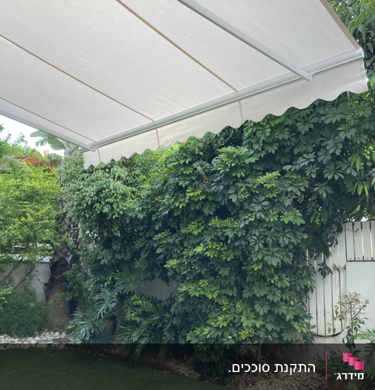 סוכך לבן עם מסגרת מתכת על רקע צמחייה ירוקה